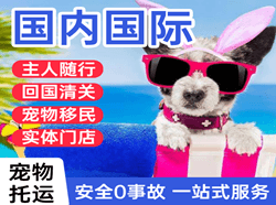 稻城亚丁空运公司国际宠物托运 【国