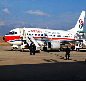 稻城亚丁空运公司航空快运业稳步发展的原因是什么？